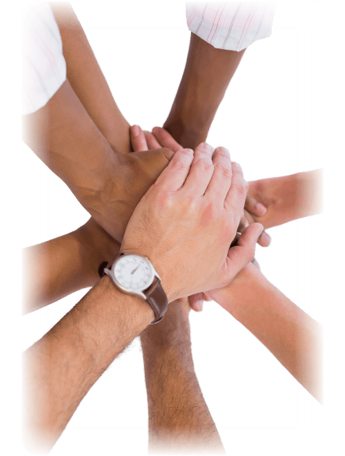 RAHN Specialists Consulting, Software and recruitment